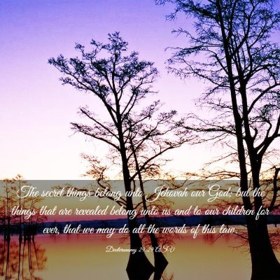Picture 03 - Deuteronomy 29:29 ASV - The secret things belong unto Jehovah our God; - Bible Verse Picture