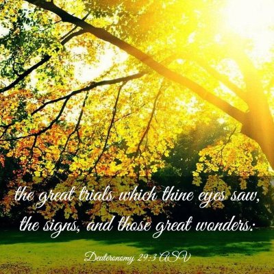 Picture 03 - Deuteronomy 29:3 ASV - the great trials which thine eyes saw, the signs, - Bible Verse Picture