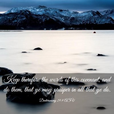 Picture 03 - Deuteronomy 29:9 ASV - Keep therefore the words of this covenant, and do - Bible Verse Picture