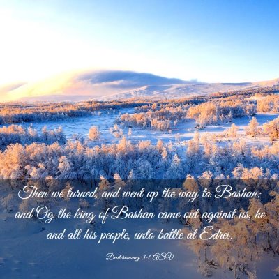 Picture 03 - Deuteronomy 3:1 ASV - Then we turned, and went up the way to Bashan: - Bible Verse Picture