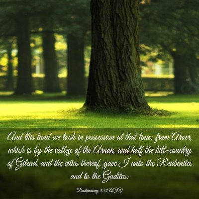 Picture 03 - Deuteronomy 3:12 ASV - And this land we took in possession at that time: - Bible Verse Picture