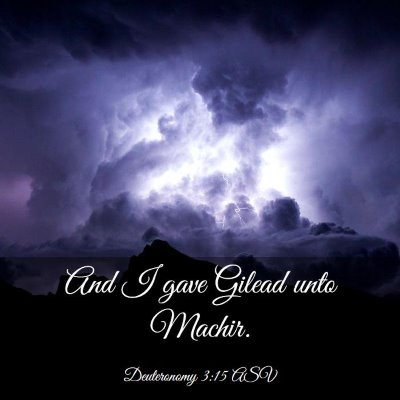 Picture 03 - Deuteronomy 3:15 ASV - And I gave Gilead unto - Bible Verse Picture
