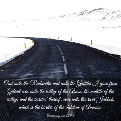 Picture 03 - Deuteronomy 3:16 ASV - And unto the Reubenites and unto the Gadites I - Bible Verse Picture