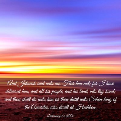 Picture 03 - Deuteronomy 3:2 ASV - And Jehovah said unto me, Fear him not; for I - Bible Verse Picture