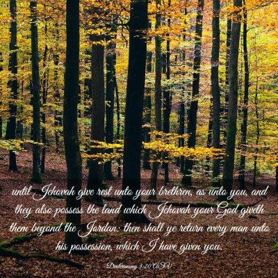 Picture 03 - Deuteronomy 3:20 ASV - until Jehovah give rest unto your brethren, as - Bible Verse Picture