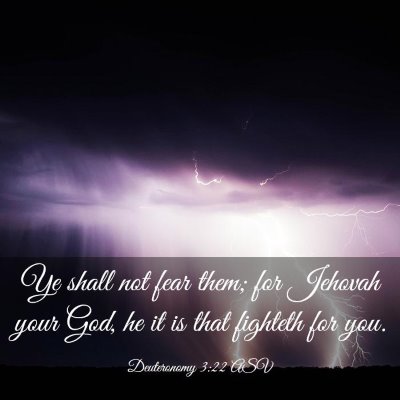 Picture 03 - Deuteronomy 3:22 ASV - Ye shall not fear them; for Jehovah your God, he - Bible Verse Picture