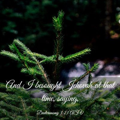 Picture 03 - Deuteronomy 3:23 ASV - And I besought Jehovah at that time, - Bible Verse Picture