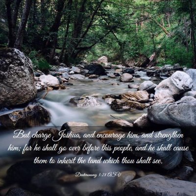 Picture 03 - Deuteronomy 3:28 ASV - But charge Joshua, and encourage him, and - Bible Verse Picture