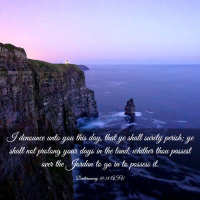 Picture 03 - Deuteronomy 30:18 ASV - I denounce unto you this day, that ye shall - Bible Verse Picture