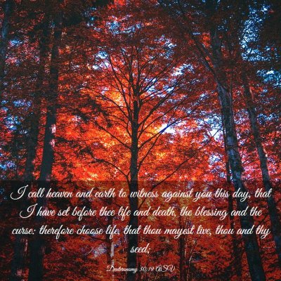 Picture 03 - Deuteronomy 30:19 ASV - I call heaven and earth to witness against you - Bible Verse Picture