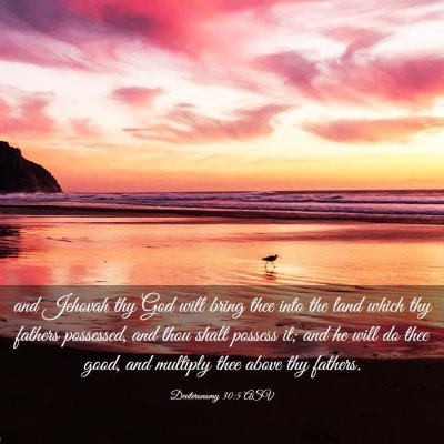 Picture 03 - Deuteronomy 30:5 ASV - and Jehovah thy God will bring thee into the land - Bible Verse Picture