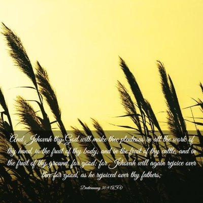 Picture 03 - Deuteronomy 30:9 ASV - And Jehovah thy God will make thee plenteous in - Bible Verse Picture