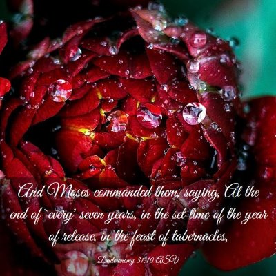 Picture 03 - Deuteronomy 31:10 ASV - And Moses commanded them, saying, At the end of - Bible Verse Picture