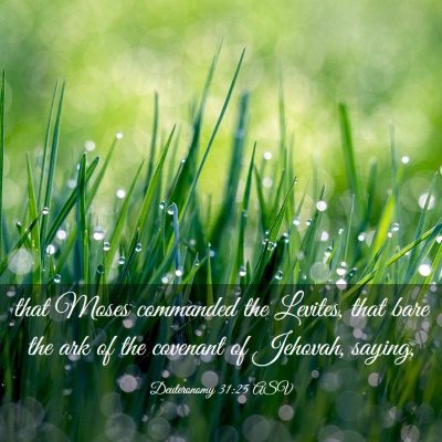 Picture 03 - Deuteronomy 31:25 ASV - that Moses commanded the Levites, that bare the - Bible Verse Picture