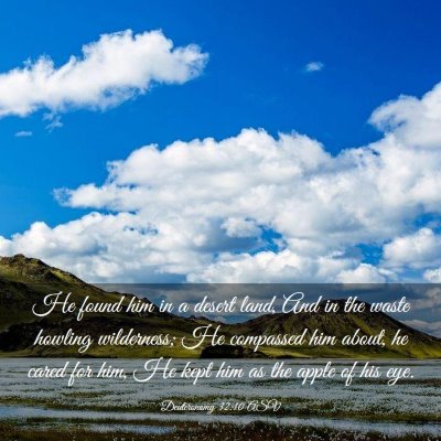 Picture 03 - Deuteronomy 32:10 ASV - He found him in a desert land, And in the waste - Bible Verse Picture
