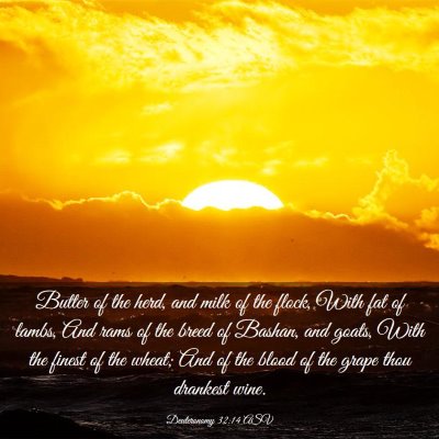 Picture 03 - Deuteronomy 32:14 ASV - Butter of the herd, and milk of the flock, With - Bible Verse Picture