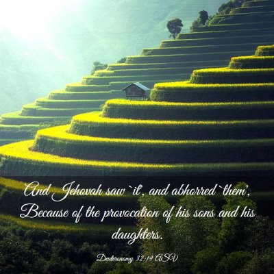 Picture 03 - Deuteronomy 32:19 ASV - And Jehovah saw `it', and abhorred `them', - Bible Verse Picture