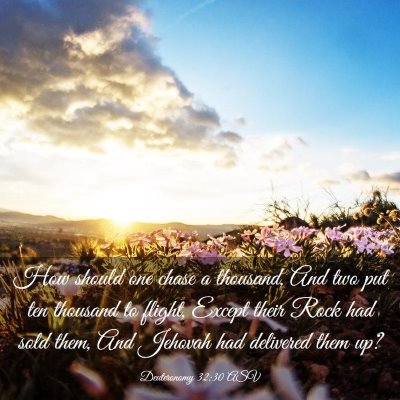 Picture 03 - Deuteronomy 32:30 ASV - How should one chase a thousand, And two put ten - Bible Verse Picture
