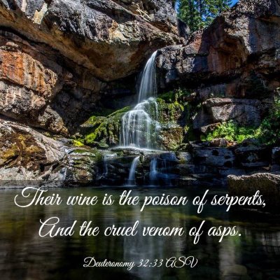 Picture 03 - Deuteronomy 32:33 ASV - Their wine is the poison of serpents, And the - Bible Verse Picture