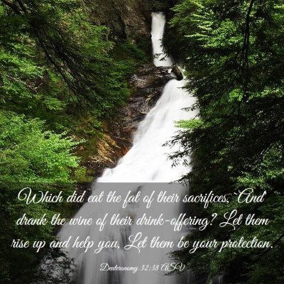 Picture 03 - Deuteronomy 32:38 ASV - Which did eat the fat of their sacrifices, `And' - Bible Verse Picture