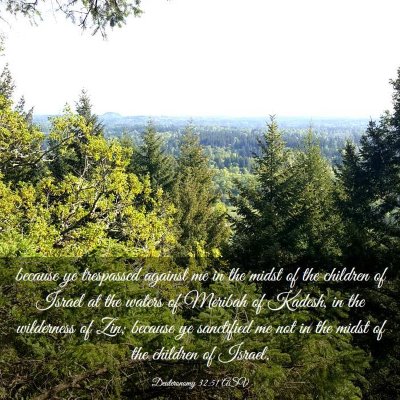 Picture 03 - Deuteronomy 32:51 ASV - because ye trespassed against me in the midst of - Bible Verse Picture