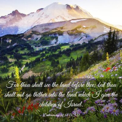 Picture 03 - Deuteronomy 32:52 ASV - For thou shalt see the land before thee; but thou - Bible Verse Picture