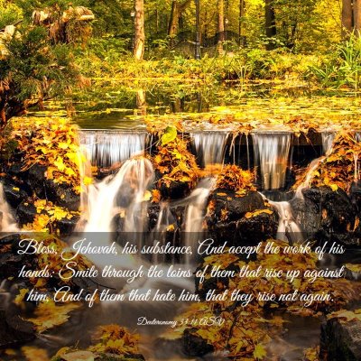 Picture 03 - Deuteronomy 33:11 ASV - Bless, Jehovah, his substance, And accept the - Bible Verse Picture