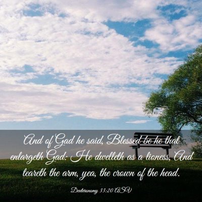 Picture 03 - Deuteronomy 33:20 ASV - And of Gad he said, Blessed be he that enlargeth - Bible Verse Picture