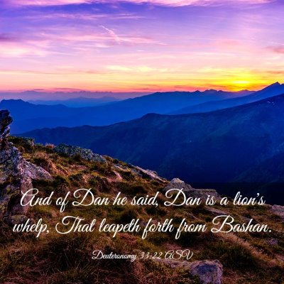 Picture 03 - Deuteronomy 33:22 ASV - And of Dan he said, Dan is a lion's whelp, That - Bible Verse Picture