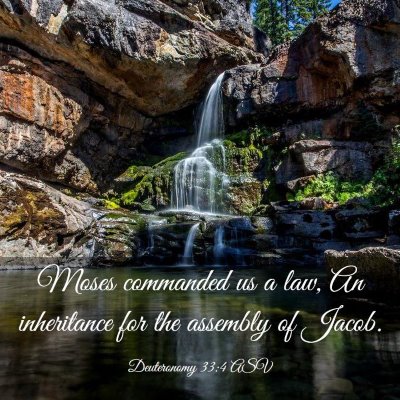 Picture 03 - Deuteronomy 33:4 ASV - Moses commanded us a law, An inheritance for the - Bible Verse Picture
