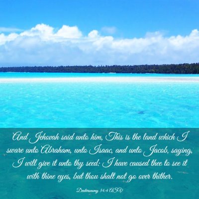 Picture 03 - Deuteronomy 34:4 ASV - And Jehovah said unto him, This is the land which - Bible Verse Picture