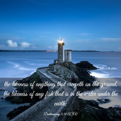 Picture 03 - Deuteronomy 4:18 ASV - the likeness of anything that creepeth on the - Bible Verse Picture