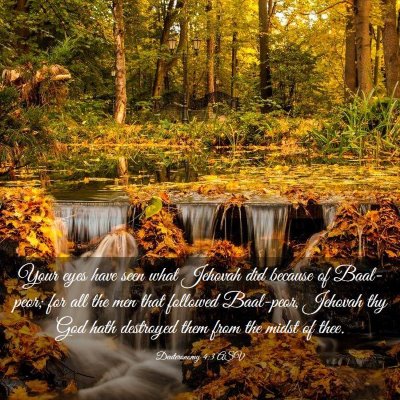 Picture 03 - Deuteronomy 4:3 ASV - Your eyes have seen what Jehovah did because of - Bible Verse Picture