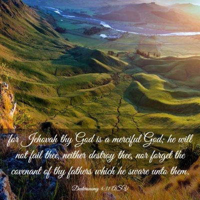 Picture 03 - Deuteronomy 4:31 ASV - for Jehovah thy God is a merciful God; he will - Bible Verse Picture