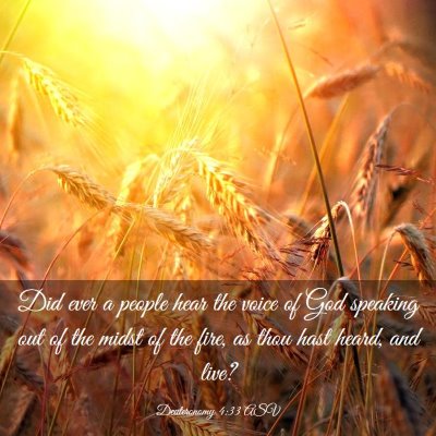 Picture 03 - Deuteronomy 4:33 ASV - Did ever a people hear the voice of God speaking - Bible Verse Picture