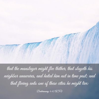 Picture 03 - Deuteronomy 4:42 ASV - that the manslayer might flee thither, that - Bible Verse Picture