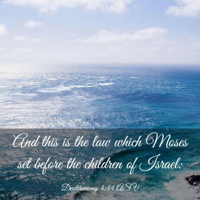 Picture 03 - Deuteronomy 4:44 ASV - And this is the law which Moses set before the - Bible Verse Picture