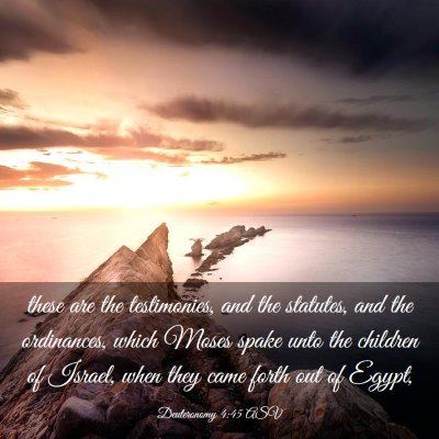 Picture 03 - Deuteronomy 4:45 ASV - these are the testimonies, and the statutes, and - Bible Verse Picture