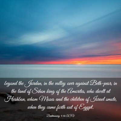 Picture 03 - Deuteronomy 4:46 ASV - beyond the Jordan, in the valley over against - Bible Verse Picture