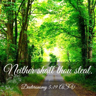 Picture 03 - Deuteronomy 5:19 ASV - Neither shalt thou - Bible Verse Picture