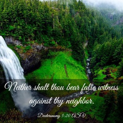 Picture 03 - Deuteronomy 5:20 ASV - Neither shalt thou bear false witness against thy - Bible Verse Picture