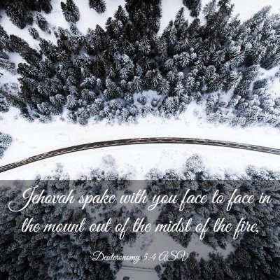 Picture 03 - Deuteronomy 5:4 ASV - Jehovah spake with you face to face in the mount - Bible Verse Picture