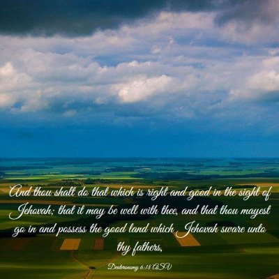 Picture 03 - Deuteronomy 6:18 ASV - And thou shalt do that which is right and good in - Bible Verse Picture