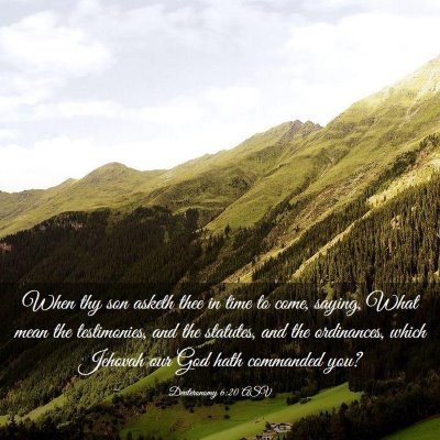 Picture 03 - Deuteronomy 6:20 ASV - When thy son asketh thee in time to come, saying, - Bible Verse Picture