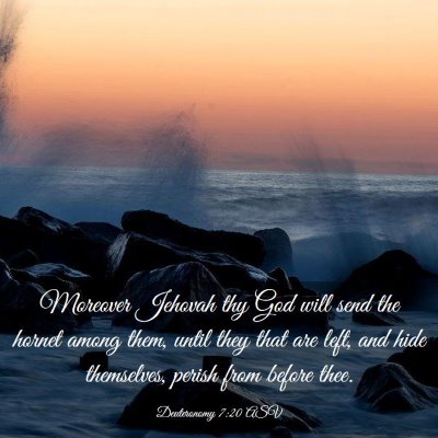 Picture 03 - Deuteronomy 7:20 ASV - Moreover Jehovah thy God will send the hornet - Bible Verse Picture