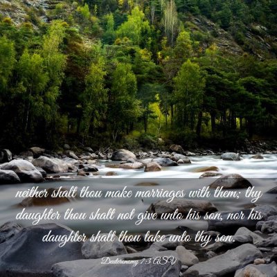 Picture 03 - Deuteronomy 7:3 ASV - neither shalt thou make marriages with them; thy - Bible Verse Picture