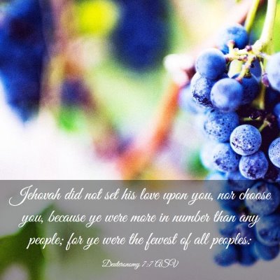 Picture 03 - Deuteronomy 7:7 ASV - Jehovah did not set his love upon you, nor choose - Bible Verse Picture