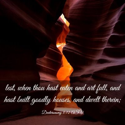 Picture 03 - Deuteronomy 8:12 ASV - lest, when thou hast eaten and art full, and hast - Bible Verse Picture
