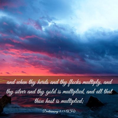 Picture 03 - Deuteronomy 8:13 ASV - and when thy herds and thy flocks multiply, and - Bible Verse Picture