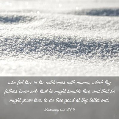 Picture 03 - Deuteronomy 8:16 ASV - who fed thee in the wilderness with manna, which - Bible Verse Picture